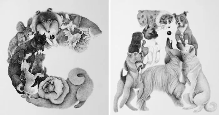 I Illustrated A Book Of An Alphabet Of Dogs