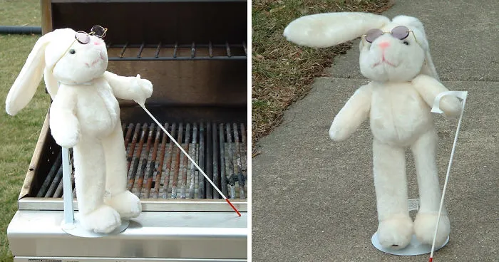 Saga Of Blind Bunny