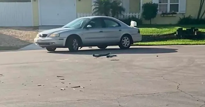 Video Footage Shows Dog Accidentally Starting His Owner's Car And Driving In Circles For An Hour