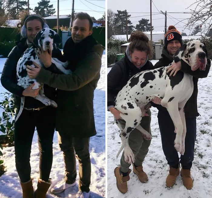 De Cachorro A Woofy En Solo Un Año