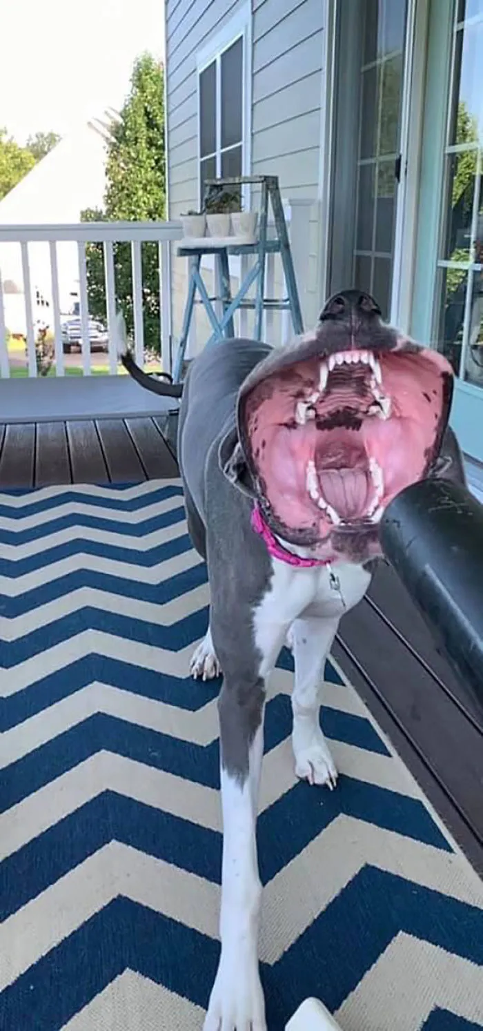 She Loves The Blower