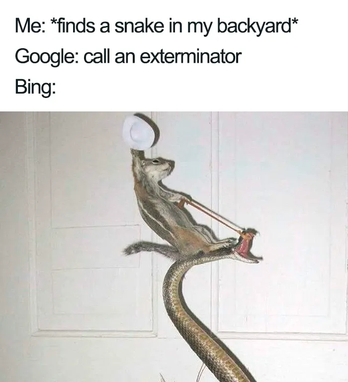 20 Google Vs. Bing Memes That Are As Hilarious As They Are Accurate