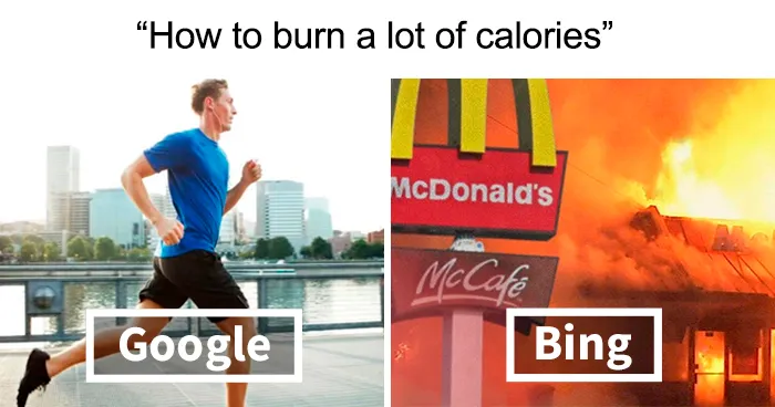20 Google Vs. Bing Memes That Are As Hilarious As They Are Accurate
