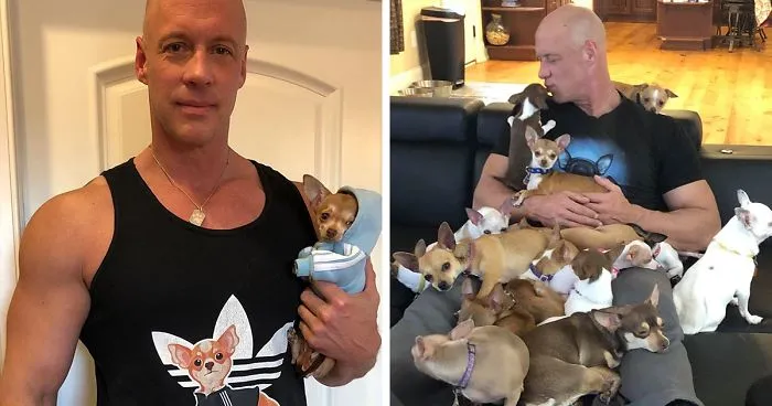 Man Who Makes Fun Of Tiny Dogs Gets Saved By A Chihuahua, Devotes His Life To Rescuing Them