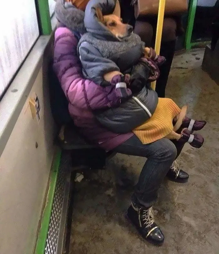 Esta cuenta de Instagram recopila cosas divertidas y curiosas vistas en el transporte público (40 fotos)