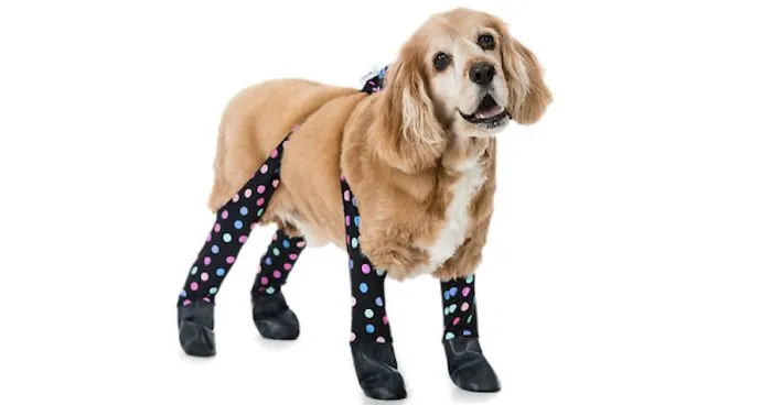 You Can Now Get Your Dog A Pair Of Leggings To Warm Their Paws