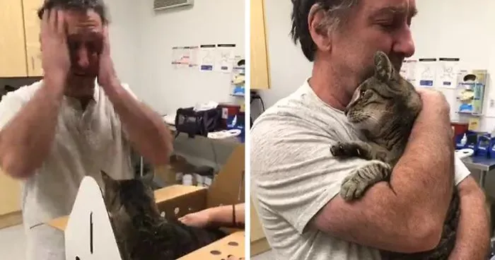 Man Gets Reunited With His 19-Year-Old Cat 7 Years After He Went Missing