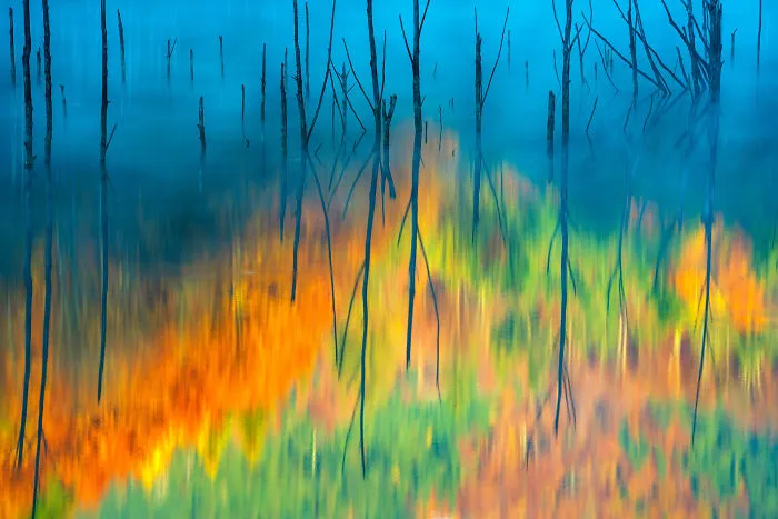 Category Fred Hazelhoff Portfolio Award Winner: 'Cuejdel My Lake' By  Gheorghe Popa (Ro)
