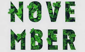 30 Days Of November