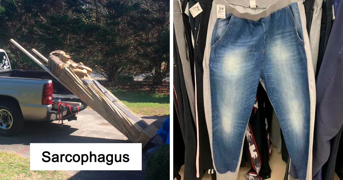 30 Times People Found Such Great Things In Thrift Stores, Flea Markets, And Garage Sales, They Just Had To Share (New Pics)