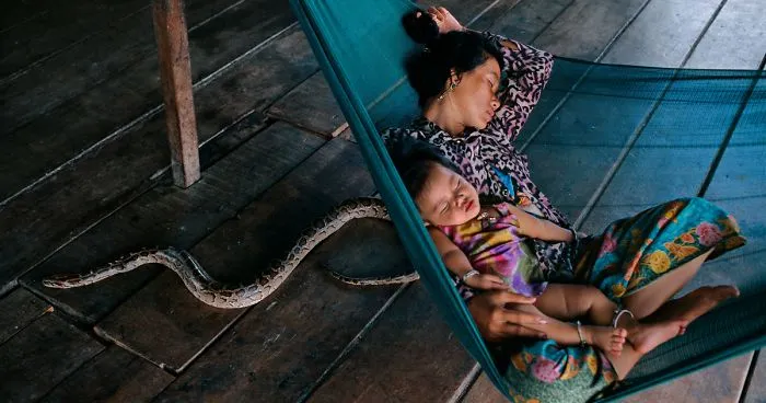 30 Photographs That Explore The Relationship Between Animals And Humans By Steve McCurry