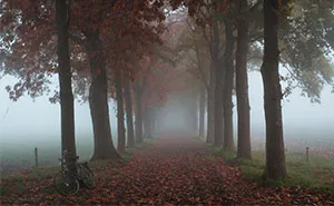 I Live In A Rural Area In The Netherlands And I Capture Its Scenic Countryside (40 Pics)