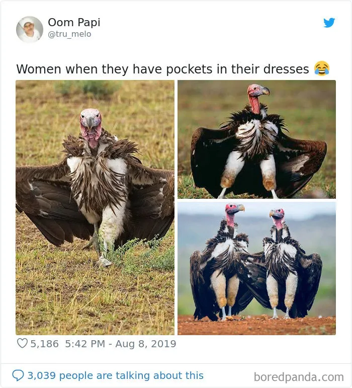 30 Posts That Show How Much Women Want Pockets In Their Clothes
