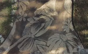 Woman Uses The Power Washer She Got As A Birthday Gift To Unleash Her Creative Potential
