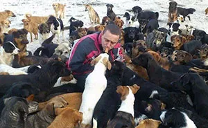 Guy Takes In Pups That No One Wants, Runs A Shelter With 750 Dogs