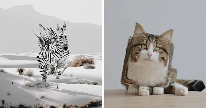Indonesian Digital Artist Aditya Aryanto Photoshops Animals Into Surreal, Silly, And Unexpected Situations (50 Pics)