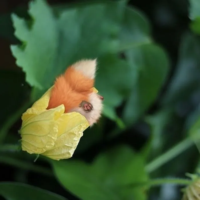 Este artista dibuja a los animales más adorables viviendo en nuestro mundo (30 imágenes)