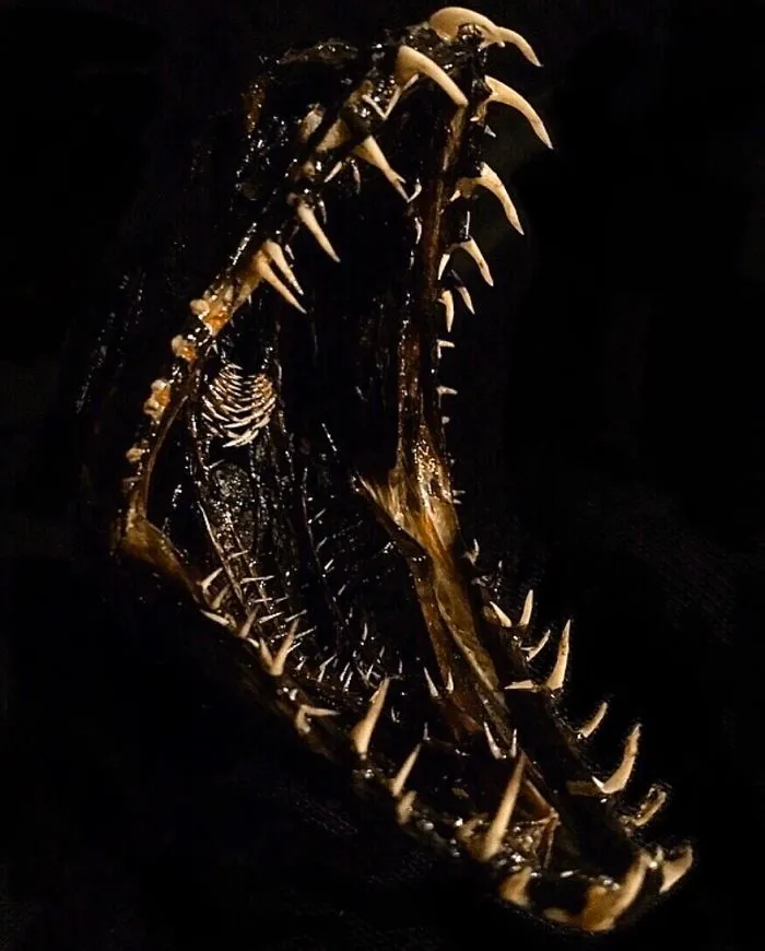 Deep-Sea Snaggletooth Fish