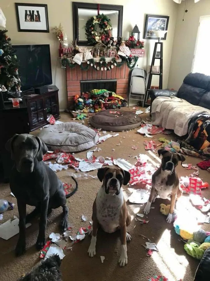 Merry Christmas, Mom