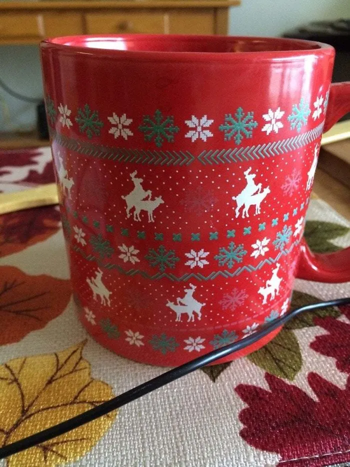 Gave My Mom This Mug For Christmas 2 Years Ago And She Still Has No Clue