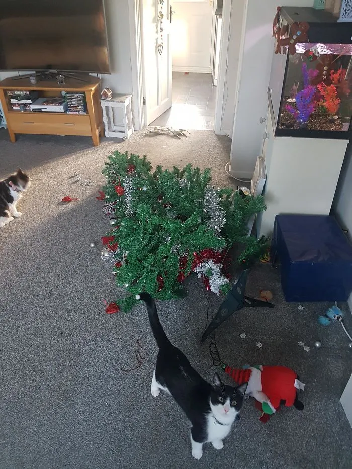 Su primera navidad