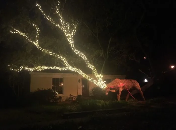 This Christmas Lights Display