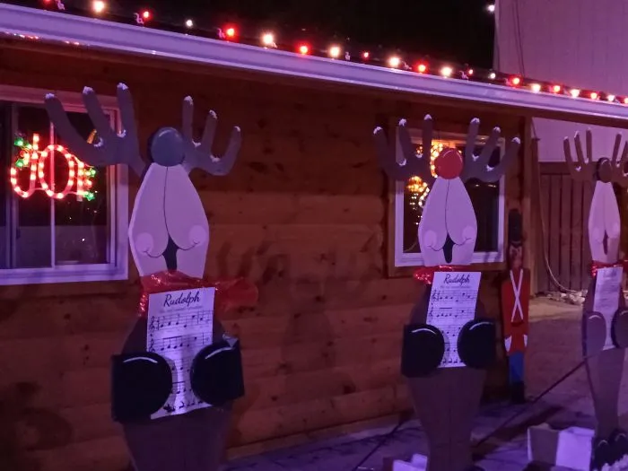 Those "Reindeer"