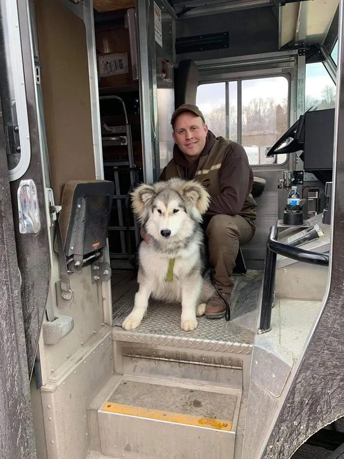 Resulta que los conductores de UPS tienen un grupo de Facebook con los perros que se encuentran en ruta, y te alegrará el día (Nuevas imágenes)