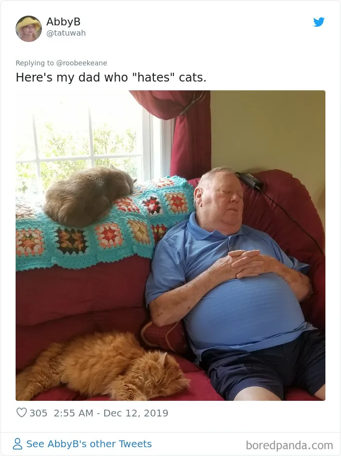 30 People Who Didn’t Want Pets But Changed Their Mind Real Fast