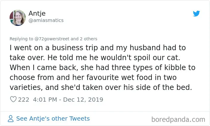 30 People Who Didn’t Want Pets But Changed Their Mind Real Fast