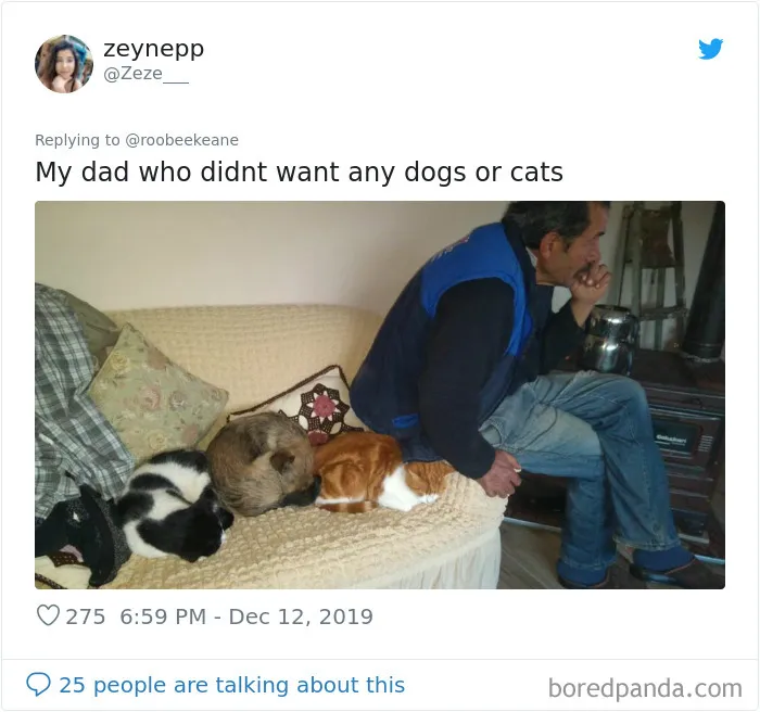 30 People Who Didn’t Want Pets But Changed Their Mind Real Fast