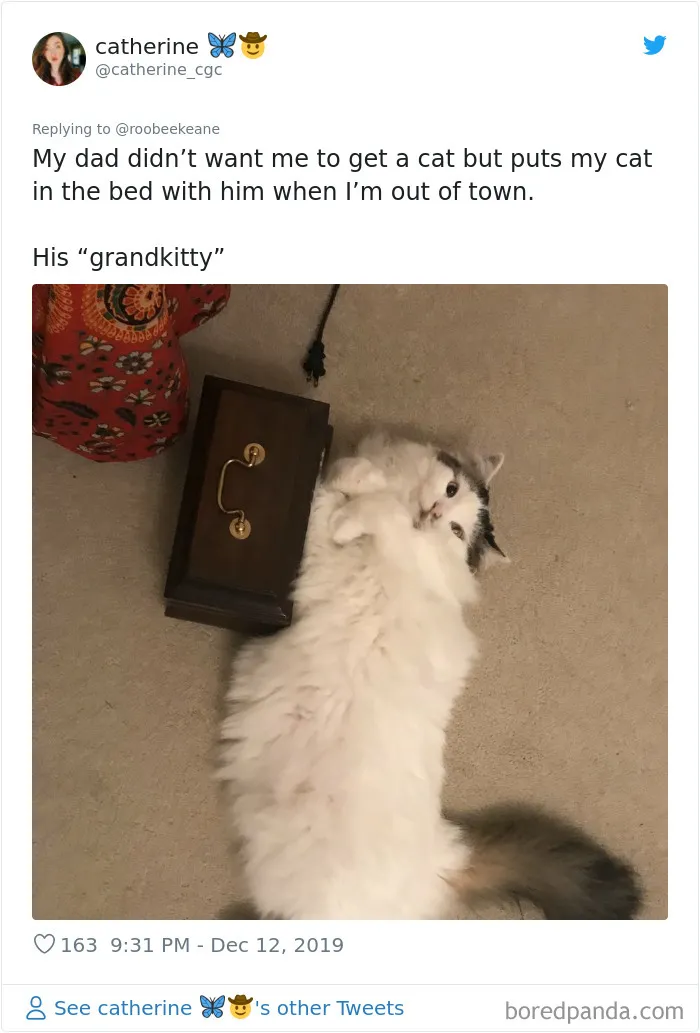 30 People Who Didn’t Want Pets But Changed Their Mind Real Fast