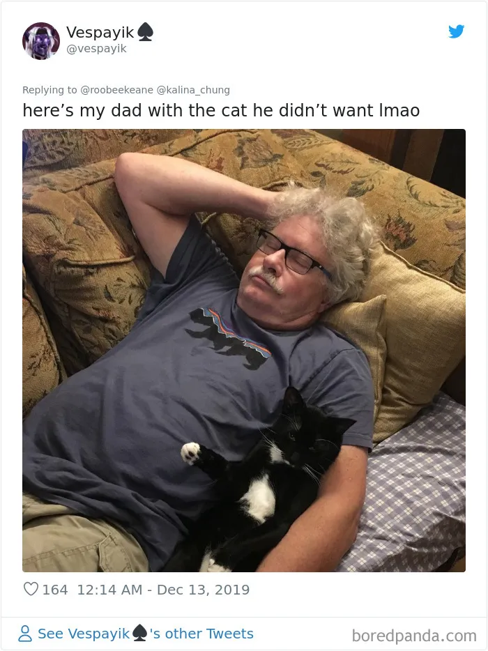 30 People Who Didn’t Want Pets But Changed Their Mind Real Fast