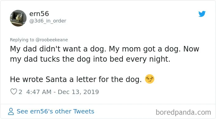 30 People Who Didn’t Want Pets But Changed Their Mind Real Fast