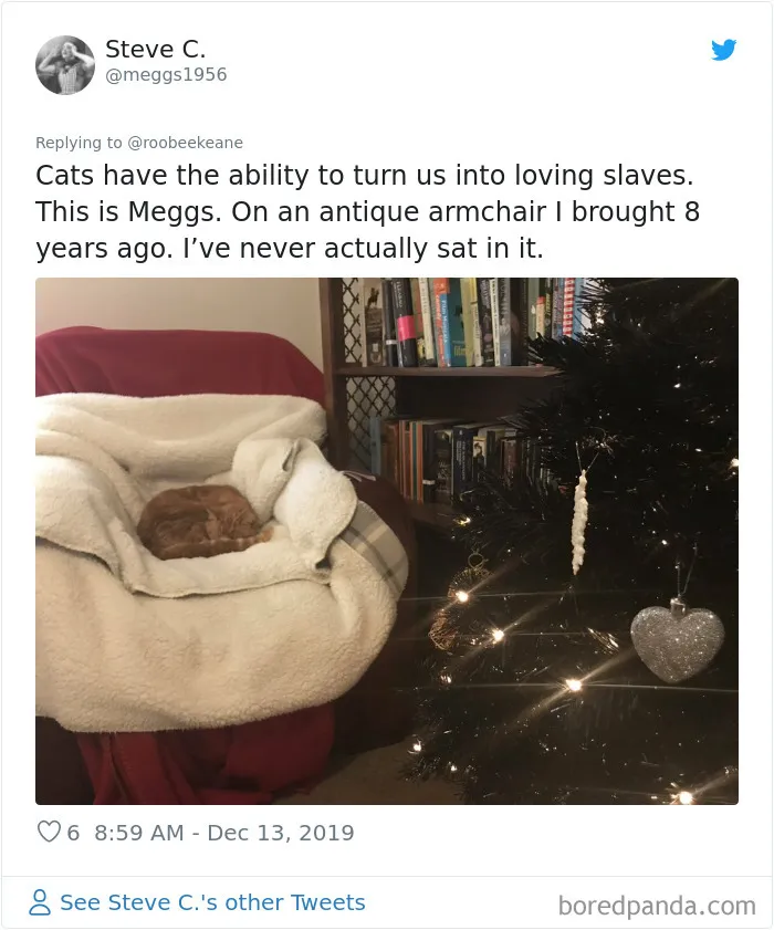 30 People Who Didn’t Want Pets But Changed Their Mind Real Fast