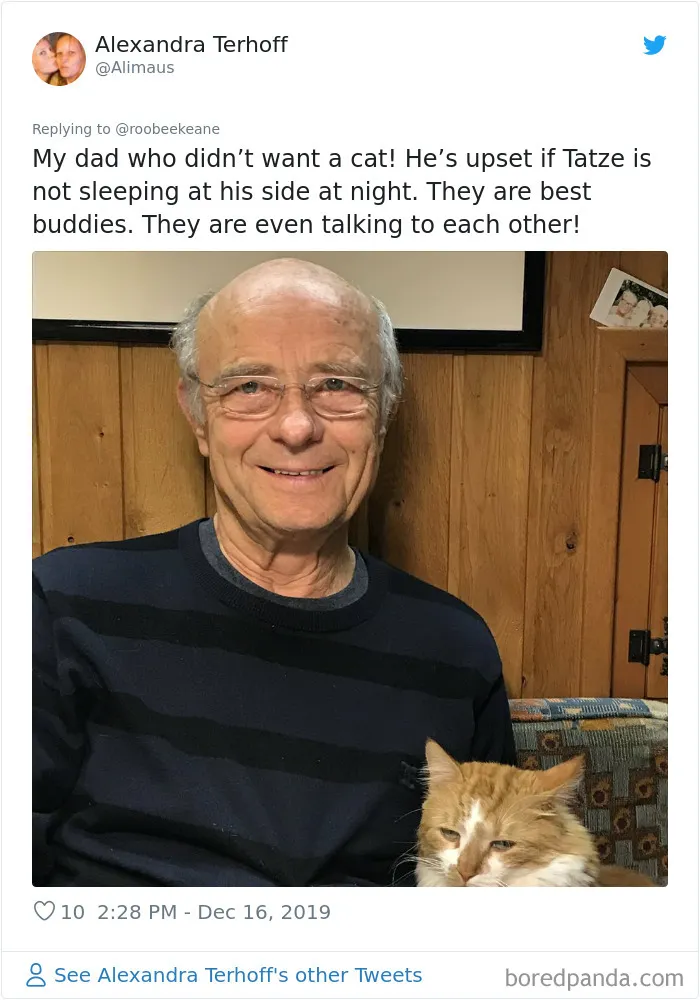 30 People Who Didn’t Want Pets But Changed Their Mind Real Fast