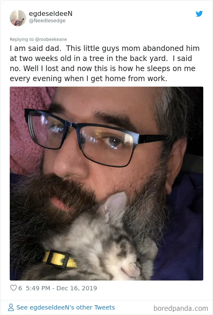 30 People Who Didn’t Want Pets But Changed Their Mind Real Fast