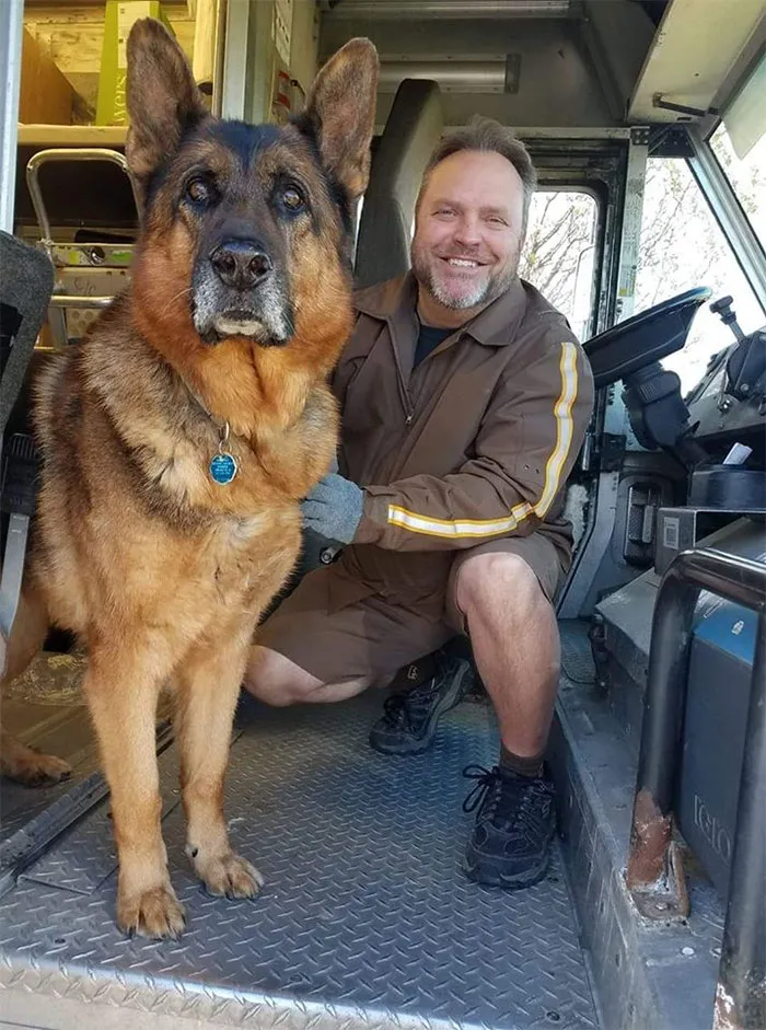 Turns Out, UPS Drivers Have A Facebook Group About Dogs They Meet On Their Routes, And It Will Make Your Day