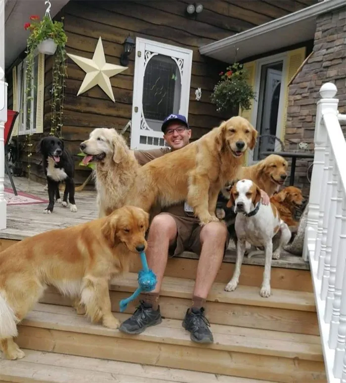 Turns Out, UPS Drivers Have A Facebook Group About Dogs They Meet On Their Routes, And It Will Make Your Day