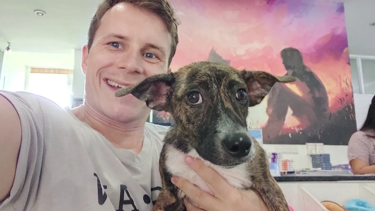 This Guy Uses Profits From His Tshirt Business To Rescue Street Animals In Bali