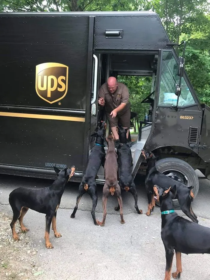 Turns Out, UPS Drivers Have A Facebook Group About Dogs They Meet On Their Routes, And It Will Make Your Day