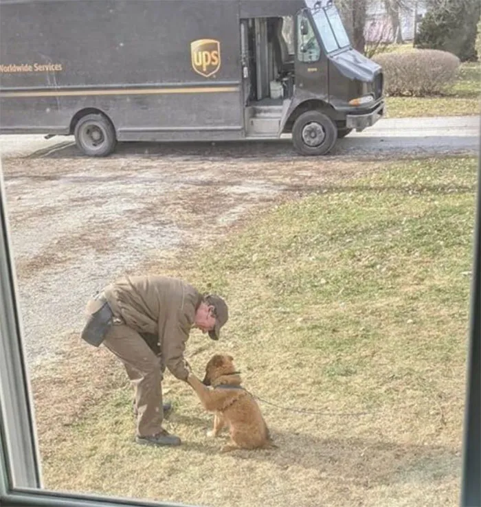 Turns Out, UPS Drivers Have A Facebook Group About Dogs They Meet On Their Routes, And It Will Make Your Day
