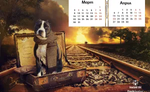 2020 Beautiful Charity Calendar By A Pit Bull Rescue