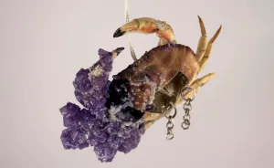 I Turn Creepy Crabs Into Jewels