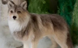 I Bring Wool To Life In Needle Felt Wildlife