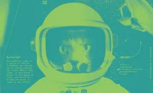 We Made This Fun 2020 Calendar With Our Pets As Astronauts
