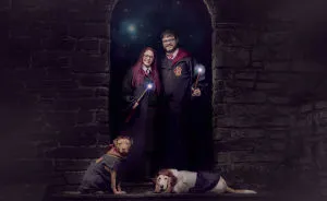 Our Epic Harry Potter Pregnancy Announcement