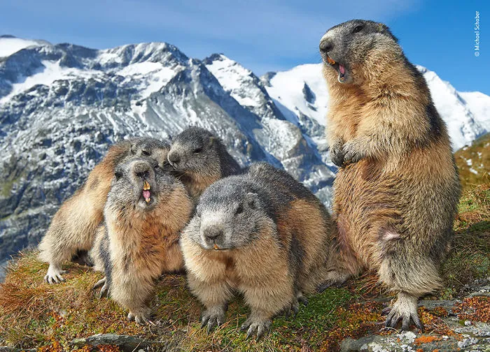 "Familia unida", Michael Schober, Austria