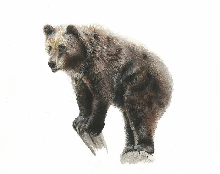 One Of My Realistic Painted Animals For Brno Zoo In The Czech Republic