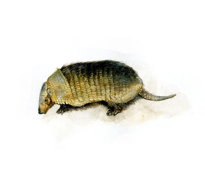 One Of My Realistic Painted Animals For Brno Zoo In The Czech Republic